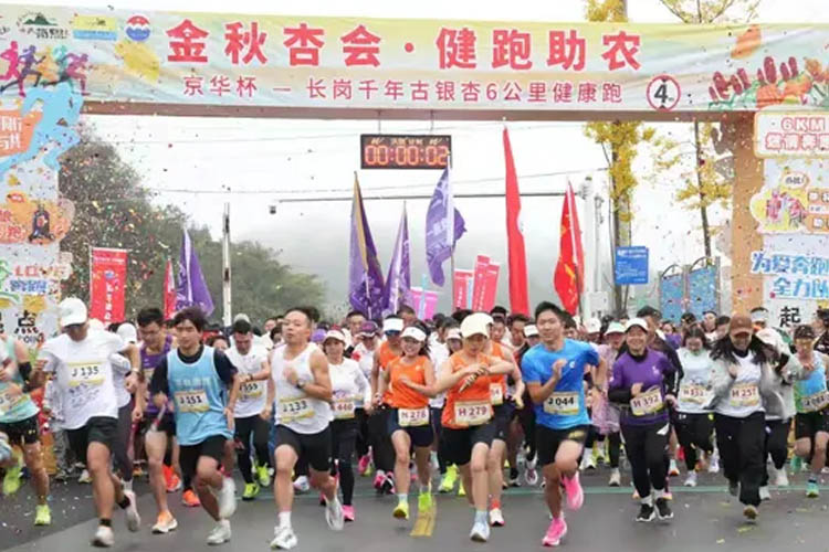 ”京华杯”长岗千年古银杏6公里健康跑，“京华竞速”队的奔跑与温情